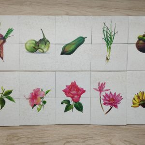 เกมการศึกษาปฐมวัย - เกมต่อครึ่งภาพ ผัก ผลไม้ ดอกไม้ 2 ชุด (T04 02 )